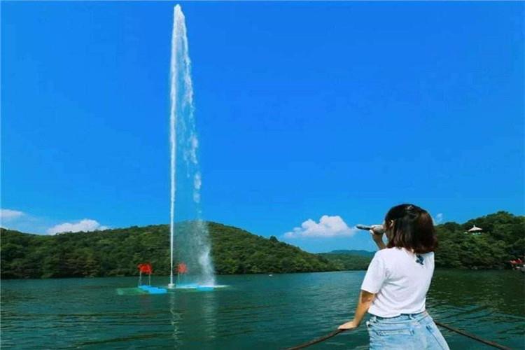 由一個球體伸出許多支管，花邊噴頭蒲公英噴頭形成一個大球體，吶喊噴泉噴水時如同蒲公英花球，雄偉壯觀，可單獨設置或高低交錯設置