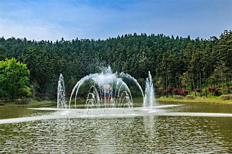 用電安全是公園噴泉設計和施工的重中之重，行業標準要求控制柜安裝漏電保護裝置，配電柜以及噴泉均要做接地等電位系統