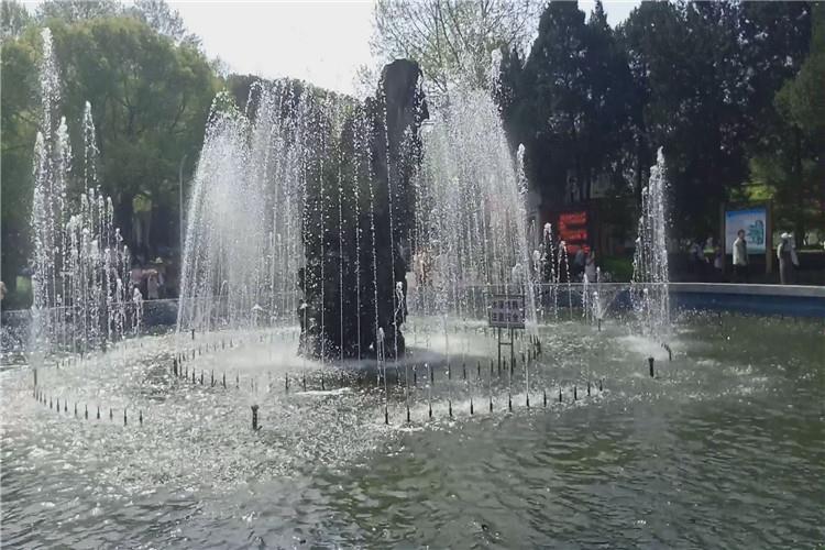 水池和旱噴中選用的大多數噴泉設備均采用低壓類型，但是由于低壓水泵成本較高