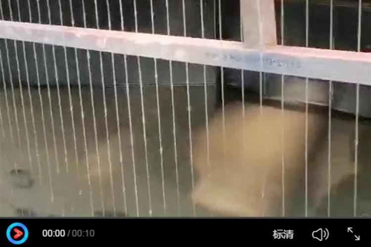 安徽六安綠地未來城光纖水簾